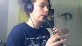 Traditional Irish Tin Whistle Songs