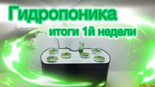 Гидропоника Aerogarden 1 week