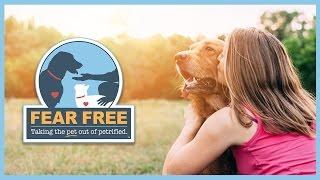Fear Free: How Pet Owners Can Enjoy Veterinary Visits with Their Pets