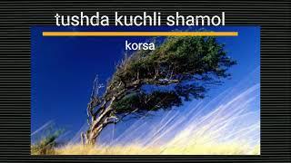 tushda kuchli shamol korsa / тушда шамол курса