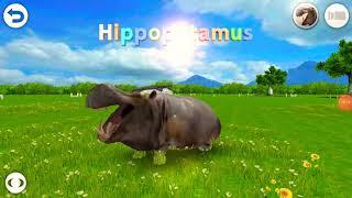 real animal hd