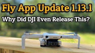 Disappointing DJI Fly App Update 1.13.1:  Is It Worth the Download?