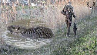 Tagjagd auf Nutria / Nutria Pest Control