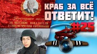 Краб за всё ответит! #25 (срач в каментах edition)