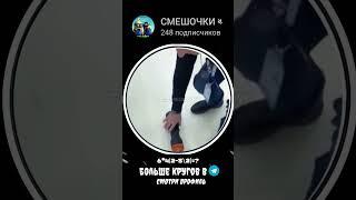 FAKE ALL... ЖДУ В ТГ #смешныевидео #СМЕШОЧКИ #smeshochki_tt #кружки #круги #smeshochki_tt