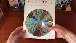 Visions by Walter Hopps (1977, Pomegranate) Visionary & Psychedelic art