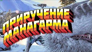 Как приручить МАНАГАРМА в АРКЕ (ГАЙД) - ARK:survival Evolved