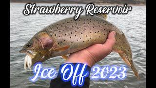 Strawberry Reservoir Ice Off 2023
