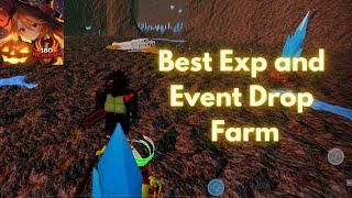 Best Exp and Event Item Drop Farm Location | Sword Blox Online : Rebirth