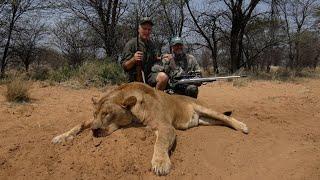SuperTest Lion Hunting Sabatti Rover Alaskan 338WM Contessa Mount Sightmark Citadel 1-6x24 B&P BP108
