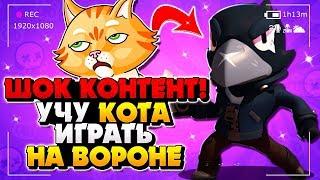 ВОРОН САМЫЙ ЛУЧШИЙ ГАЙД \ КРОУ КАК НАУЧИТЬСЯ ИГРАТЬ НА ВОРОНЕ ГАЙД Бравл Старс / BRAWL STARS