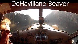 Dehavilland Beaver Seaplane with Jim the Pilot & NW Seaplanes