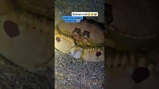 angas ng nilalang nato #fishing #funny #fish