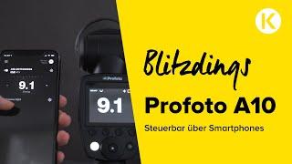 Vorstellung Profoto A10 | Foto Koch