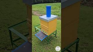 Enjoy the Bees Buzzing and Birds Chirping ️ #bees #beekeeping #пчеловодство #imkern #apicultura