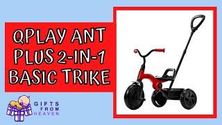 QPLAY Ant Plus 2-in-1 Basic Trike