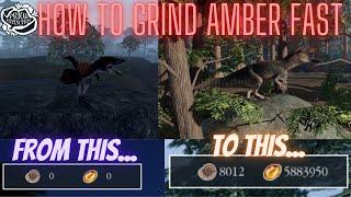 HOW TO GRIND AMBER FAST (Prior Extinction)