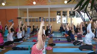 A tour through Yoga in Daily Life Brisbane