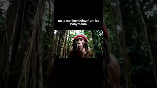 Rasta Monkey At it Again #seriousshotta #amazingmemes #funny #shortsviral #funnyshorts #funnyvideo