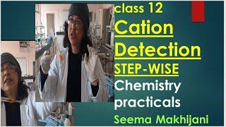 NEET/JEE mains 2024. CATION-STEP WISE in 15 minutes.  2024. Chemistry Practicals-CBSE Class 11and12.