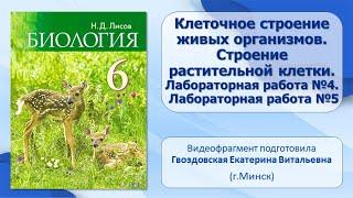 Тема 5. Клеточное строение живых организмов. Строение растительной клетки. Лабораторная работа №4,5