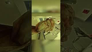 Что происходит? #shorts #left4dead2memes