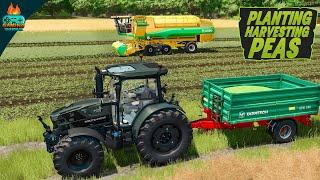 New Crop PEAS 🫛 - Farming Simulator 25 Urdu Hindi