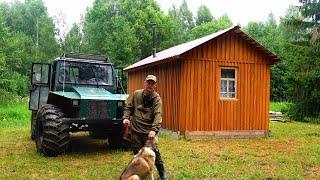 НЕОЖИДАННАЯ ВСТРЕЧА С МЕДВЕДЕМ! АЛТАЙ БРОСИЛСЯ в ЛЕС! СОБАКА ПРОПАЛА! ЖИВУ В ТАЁЖНОЙ ИЗБЕ. ПОИСКИ...