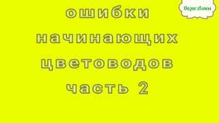 Ошибки начинающих цветоводов или, что не любят цветы. Часть 2