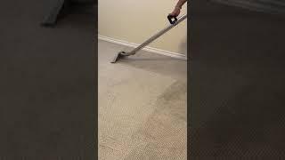 CARPET CLEANING TORONTO AREA