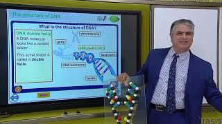 STRUCTURE OF DNA | DNA nima o'zi? | what is DNA? | Samarkand presidential school!