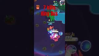 King Bus