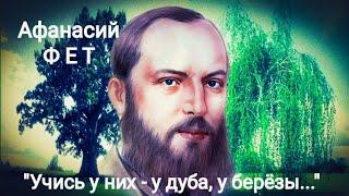 Афанасий Фет "Учись у них — у дуба, у берёзы..." Читает Павел Морозов