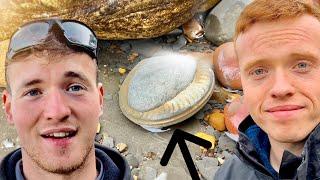 Perfect Ammonite, Crocodile Skull! 3 Day Outdoor Hunt! | Fossil Hunter