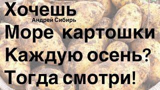 ПОЛУЧАЙ УРОЖАЙ КАРТОФЕЛЯ ТОННАМИ! САЖАЙ КЛУБНИ В ПИРАМИДУ И ГОТОВЬ МЕШКИ !