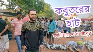 কবুতরের হাট | কালিয়াকৈর বাজার গাজীপুর | Pigeon market | Kaliakair Bazar Gazipur | MOYIN MRIDHA