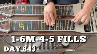 Pedal Steel Everyday - Day 843 - 1-6m-4-5 Fills