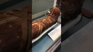 Cleopatra mummy? 