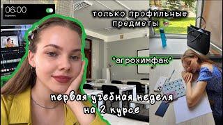 первые учебные дни в вузе *влог*