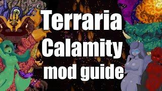 A noobs Guide to the calamity mod