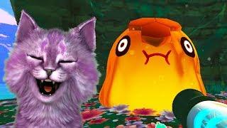 ФЕРМА СЛИЗНЕЙ #13 ЛОВУШКИ ДЛЯ ГОРДО и ПОДАРКИ slime rancher говорящая КОШКА ЛАНА играет