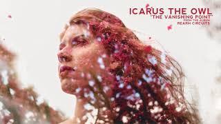 Icarus The Owl - The Vanishing Point