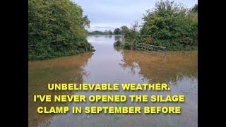 UNBELIEVABLE WEATHER.I'VE NEVER OPENED THE SILAGE CLAMP IN SEPTEMBER BEFORE