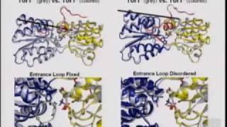 2009 Nathan S. Greenfield Family Pharmacology Lecture