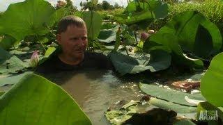 Catching a Snapping Turtle | Call of the Wildman