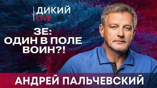 Пошла жара. Андрей Пальчевский. Дикий LIVE.