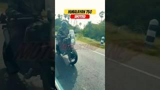 Royal Enfield Himalayan 750 LEAKED Before Launch! | BikeWale #shorts