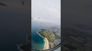 Hawk Eye #shorts #travel #hawks ️️