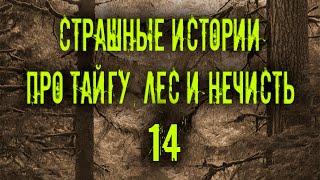 Страшные истории про тайгу, лес  и нечисть. 14 Мистика Zvook. Олег Ли