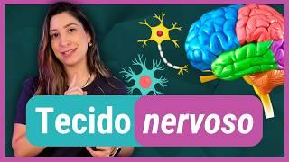 TECIDO NERVOSO | Histologia